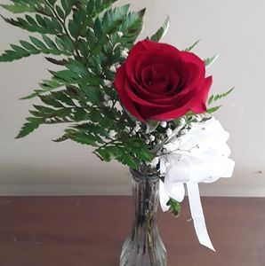 Meet your Posher, Joann